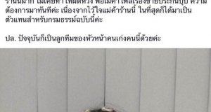 เสียงตอบรับ