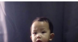 เสียงตอบรับ