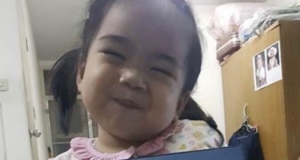 เสียงตอบรับ